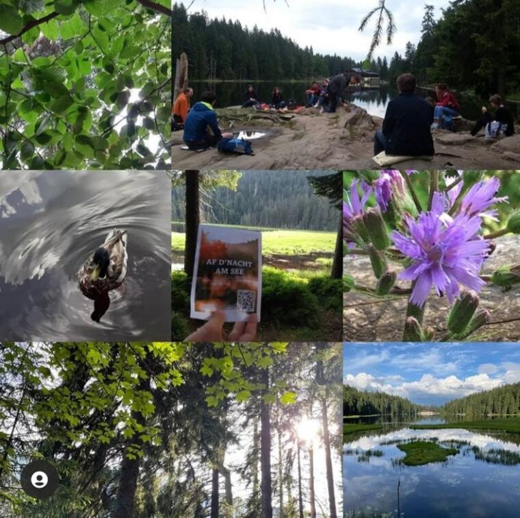 Grosser Arbersee, Natur, die Teilnehmenden 